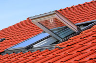 Goodley Stock roof window